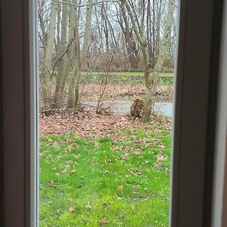 Schwarbe - Reethaus Paulsen We 2 Peter *